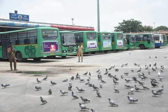 ಬಸ್ ನಿಲ್ಲಾಣದಲ್ಲಿ ಪರಿವಾಳಗಳ ಹಿಂಡು