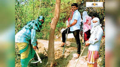 লকডাউনে বন্ধ বেতন, শিক্ষক থেকে শ্রমিকে পরিণত উচ্চশিক্ষিত দম্পতি