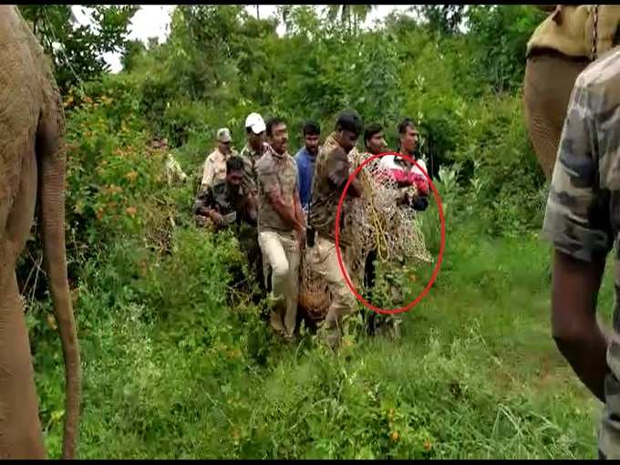 ​ಹುಲಿ ಸೆರೆಗೆ ಆದೇಶಿಸಿದ್ದ ಸಚಿವರು