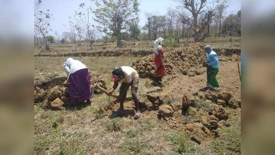 काळजी नको, मागेल त्याला काम मिळेल; मुख्यमंत्र्यांचा दिलासा