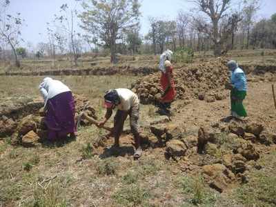 काळजी नको, मागेल त्याला काम मिळेल; मुख्यमंत्र्यांचा दिलासा