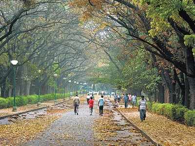 ಬೆಂಗಳೂರು ಪಾರ್ಕ್‌ಗಳಲ್ಲಿ ವಾಯುವಿಹಾರ ಶುರು: ಆದರೆ, ಥರ್ಮಲ್‌ ಸ್ಕ್ರೀನಿಂಗ್‌ ಕಡ್ಡಾಯ!