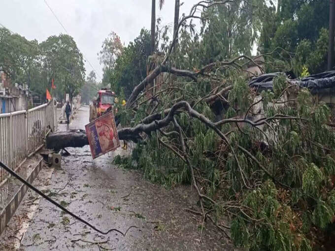 लगतार चल रही तेज हवाओं की वजह से ओडिशा के कई इलाकों पेड़ जड़ों से उखड़ गए। दरअसल, इस समय हवा की स्पीड 100 किमी प्रति घंटा से भी ज्यादा है।