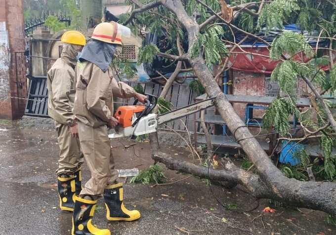 ಫ್ಲೈವುಡ್ ಕಟ್ಟಿಂಗ್ ಮೆಶಿನ್ ಮುಖಾಂತರ ಮರ ಕಡಿಯುತ್ತಿರುವ ರಕ್ಷಣಾ ತಂಡ