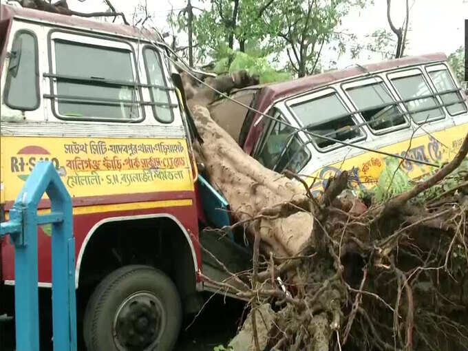 ​पेड़ ने काट डाली बस