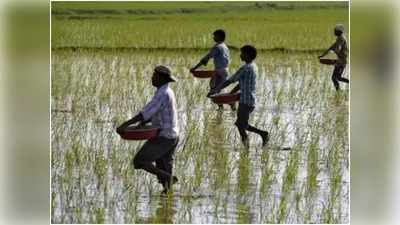छत्तीसगढ़ः प्रदेश के 19 लाख किसानों को मिलेगा राजीव गांधी किसान न्याय योजना का फायदा