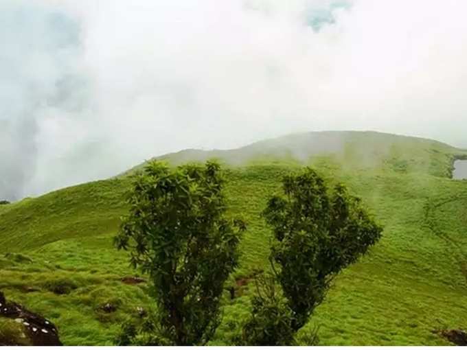 മദ്യശാലകള്‍ തുറക്കരുത്‌