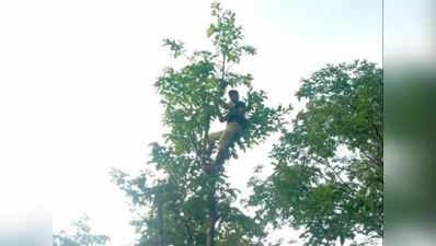 લોકડાઉન: ઊંચા વૃક્ષ પર બેસીને ઓનલાઈન અભ્યાસ કરે છે આ વિદ્યાર્થી