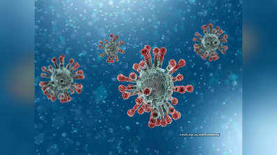 2003ના SARSની જેમ જ કોરોના વાયરસનો અંત આવશે? વૈજ્ઞાનિકોને મળી મહત્વની કડી