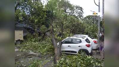 Cyclone Amphan in West Bengal: তাণ্ডবের বলি ৮০, দুর্যোগের দুর্ভোগ কাটিয়ে ছন্দে ফেরার চেষ্টায় রাজ্য