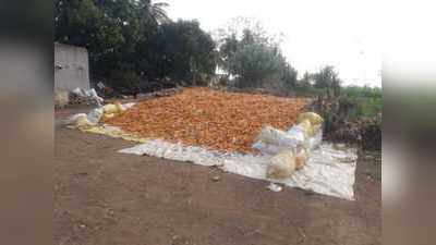 ಗೋವಿನಜೋಳ ಖರೀದಿಗೆ ಕೇಂದ್ರವೇ ಇಲ್ಲ!