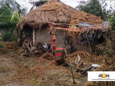 বাঘ ‘বাঁচলেও’ অন্তত ১২০ কোটি ক্ষতির মুখে সুন্দরবন