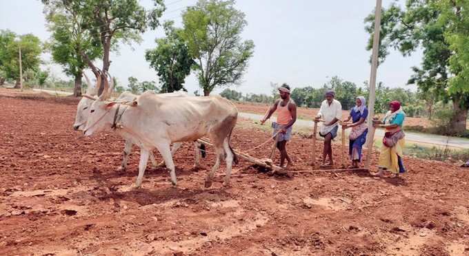 ​ಉತ್ತಮ ಮುಂಗಾರಿನ ನಿರೀಕ್ಷೆಯಲ್ಲಿ ರೈತರು