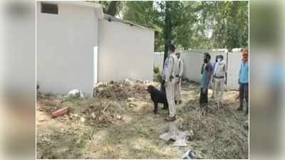 सीधी में चोरी की अनोखी घटनाः मजिस्ट्रेट के घर से 5 रोटियां ले गए चोर
