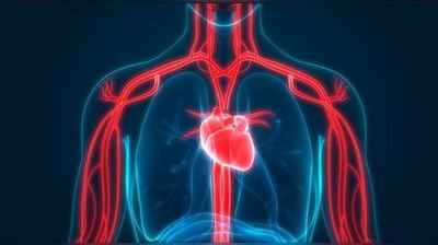 હૃદયની નળીઓ બ્લોક હોય ત્યારે મળવા માંડે છે આવા સંકેતો, ચેતશો તો બચશો