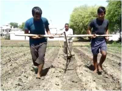 लॉकडाउन की दर्दनाक तस्वीरः किसान ने बेटों को बैल बनाकर जोता खेत