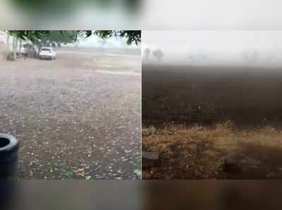 Video: સૌરાષ્ટ્રમાં વાતાવરણ પલટાયું, રાજુલામાં કરા સાથે વરસાદ 