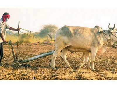 ಕಿಸಾನ್‌ ಕಾರ್ಡ್‌ಗೆ ರೈತರ ನಿರಾಸಕ್ತಿ: 50% ರೈತರೂ ಪಡೆದಿಲ್ಲ ಕ್ರೆಡಿಟ್‌ ಕಾರ್ಡ್‌!