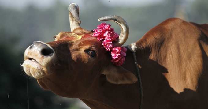 ગુરુવારે આ કામ કરવું