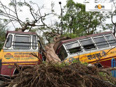 শহরে গাছের ধরন বদলানোর প্রস্তাব