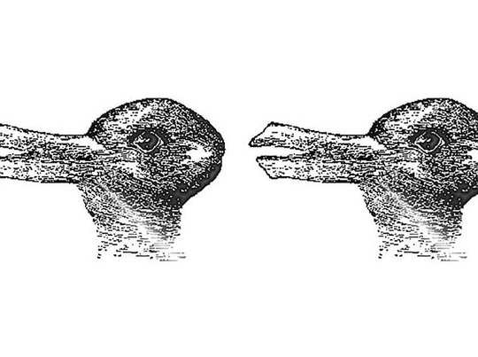 તમને શું દેખાય છે બતક કે સસલું? જવાબ જણાવશે કેવી છે તમારી માનસિકતા 