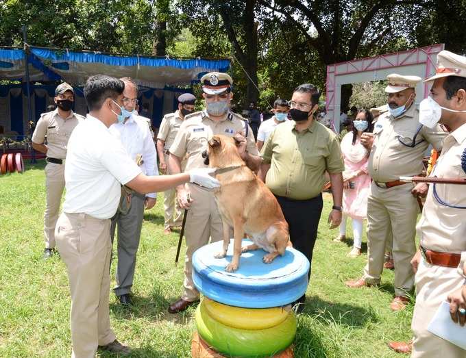 ಶ್ವಾನ ಪವರ್‌