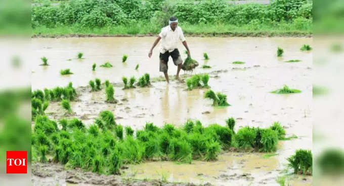 കൃഷി പ്രധാനം