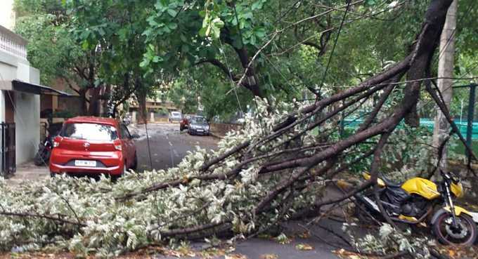 ಬೈಕ್‌ ಮೇಲೆ ಬಿದ್ದ ಮರದ ಕೊಂಬೆ