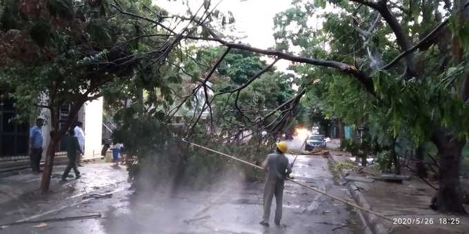 ರಸ್ತೆಗುರುಳಿದ ಮರ ತೆರವು ಕಾರ್ಯ