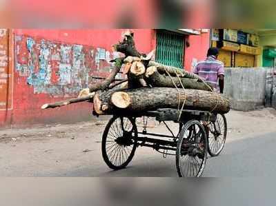 উপড়ে যাওয়া গাছের কাঠ নিতে পারবে জনতা