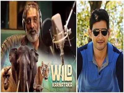 Mahesh Babu: ప్రకాశ్ రాజ్ డిస్కవరీ వైల్డ్‌ ప్రోమోపై మహేష్ రియాక్షన్