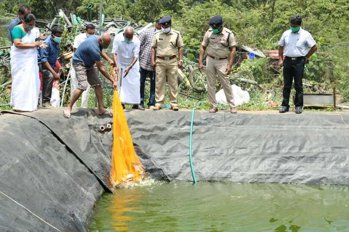 ​മത്സ്യ കൃഷിയുടെ വിളവെടുപ്പ് മന്ത്രി എംഎം മണി നിര്‍വ്വഹിക്കുന്നു