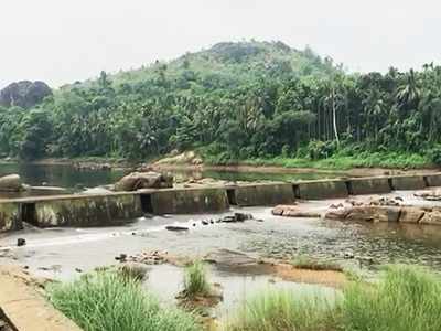 തൂതപ്പഴയിലെ മപ്പാട്ടുകര-എളാട് ചെക്ക് ഡാമിൻ്റെ ചീർപ്പുകൾ തുറന്നു