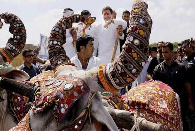 ‘કેરળ કે ગુજરાત?’