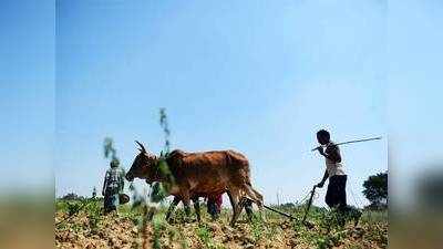 વિકસિત ગુજરાતમાં ખેડૂતોની મહિનાની કમાણી માત્ર ₹.7,926