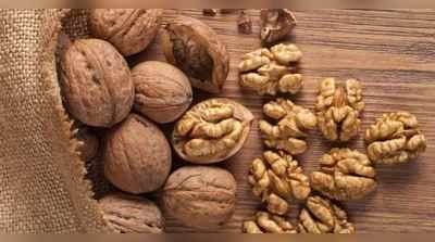 walnut benefits in gujarati : પાંચ અખરોટ ખાવ અને જુઓ ચાર જ કલાકમાં તમારા શરીરમાં કેવા ફેરફાર થાય છે!