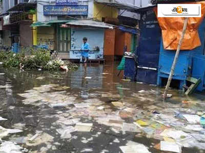 বিপর্যয়ে বইপাড়ার অভিভাবক কে? কাঠগড়ায় গিল্ড