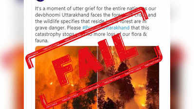 FAKE ALERT: उत्तराखंडच्या जंगलात आग लागली असे म्हणत शेअर होतोय कॅलिफॉर्नियाचा फोटो