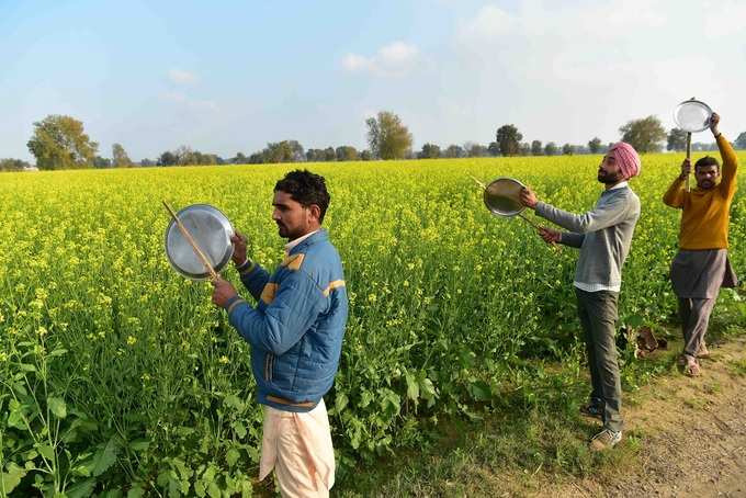 రోజులో 35 వేల మందికి సరిపడే ఆహారం హాంఫట్