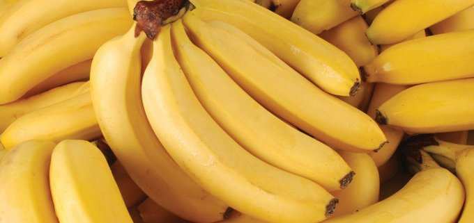 માત્ર કેળાં ખાવાના દિવસો દરમિયાન યુલિયા સાથે શું થયું?