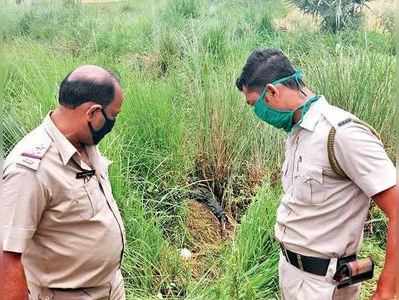 অনলাইন ভিডিয়ো গেমে হেরে যাওয়ায় বন্ধুকে খুন