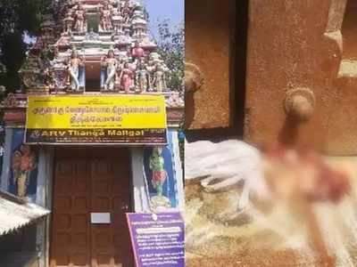 கோயிலில் பன்றி இறைச்சியை வீசியவர் கைது..! கோவை மர்மம் விலகியது...