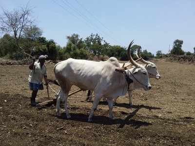 ಮುಂಗಾರು ಮಳೆಯ ನಿರೀಕ್ಷೆಯಲ್ಲಿ ರೈತರು