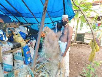 തിരൂരങ്ങാടി വെഞ്ചാലി വയലില്‍  ഇനി ഉത്സവ പ്രതീതി, മന്‍പിടുത്തം ഹരമാക്കി യുവാക്കള്‍...