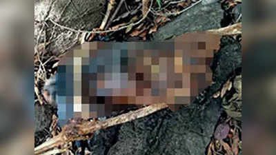 जूनागढ़ः जहर खाकर शख्स ने की आत्महत्या, शव खाने से तेंदुए की भी मौत