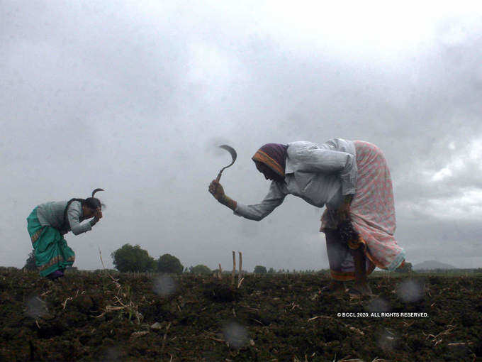 ​ಬಿತ್ತನೆಗೆ ಸಿದ್ಧತೆ