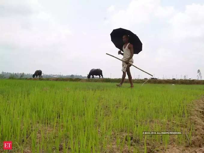 ಭರವಸೆಯಿಂದ ಉಳುಮೆ