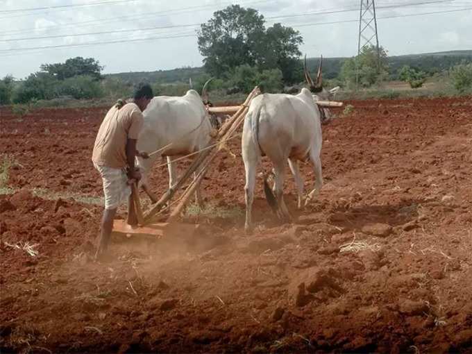 ಸಾಂಪ್ರಾದಾಯಿಕ ಕೃಷಿ  ಉಳುಮೆ