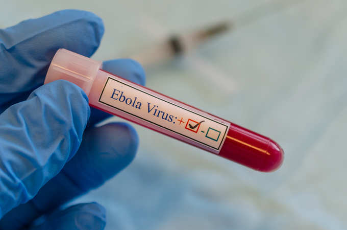 Ebola virus positive blood