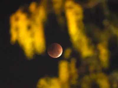 Penumbral Lunar Eclipse: ఈ చంద్రగ్రహణానికి ఉన్న ప్రత్యేకత ఏంటో తెలుసా..?